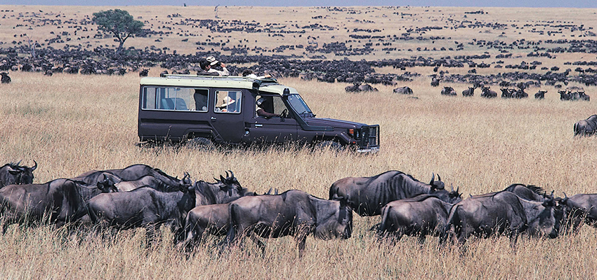 3-days-masai-mara-budget-safari