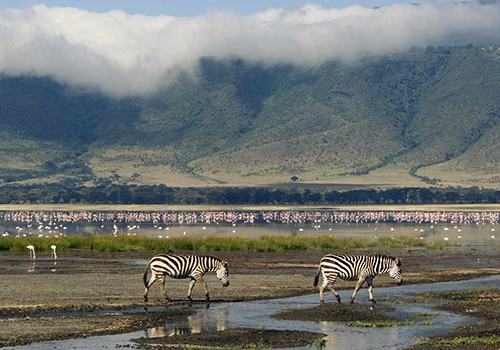 4-days-lake-manyara-ngorongoro-tarangire-tanzania-safari