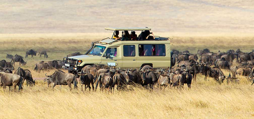 9-days-masai-mara-ngorongoro-serengeti-lake-manyara-kenya-tanzania-safari